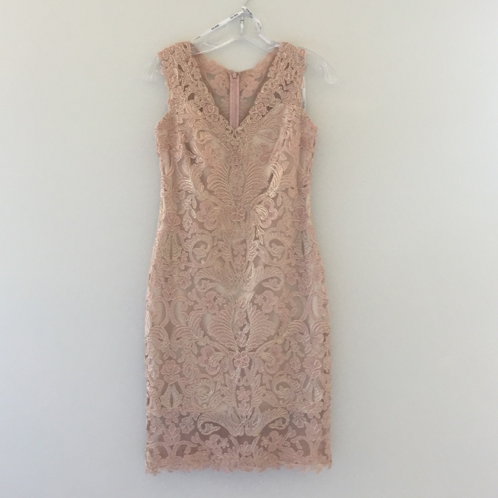Stunning Tadashi Shoji Petite Embroidered Dress